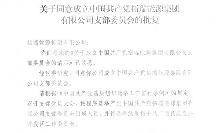 118内部资料图库党支部正式成立！