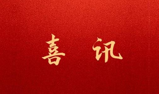 中国（广西）自由贸易试验区钦州港片区招商服务中心与118内部资料图库签订战略合作框架协议